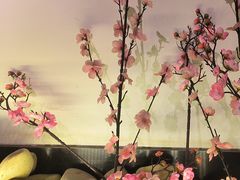 -蓉客成都火锅·招牌麻辣牛杂·特色香辣蹄花(凌水店)