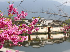 -南湖书院