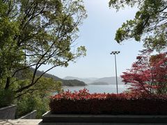-逸廊大堂吧-下午茶·简餐-千岛湖自由洲际殿