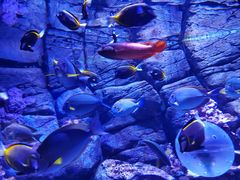 -成都浩海立方海洋公园