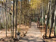 -杭州黄龙洞