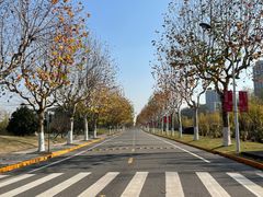 -同济大学(嘉定校区)