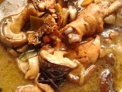 香菇炖鸡块-老家菜馆(正定店)