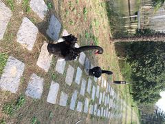 iphone_upload_pic-上海怡沁园度假酒店