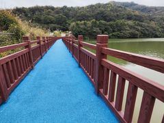 -黄埔油麻山森林公园
