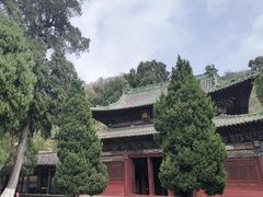 -报恩寺(平武县)
