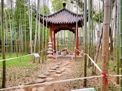 -绳金塔