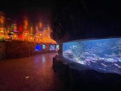 -南昌融创海世界