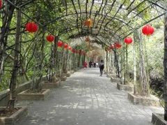 -三水森林公园
