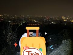 -紫金山山顶公园