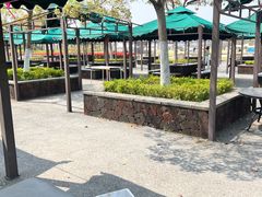 -春花秋色城市公园