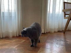 -Me Coffee下午茶艺术空间