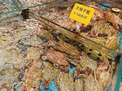 -食鼎记海鲜大排档(美食街店)