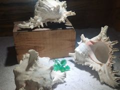 -南昌海洋公园