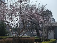 -老浒记民俗酒楼(王府井店)