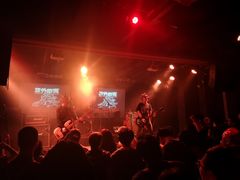 -坚果NUTS