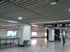 -杨高南路(地铁站)
