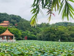 -明珠海港大酒店