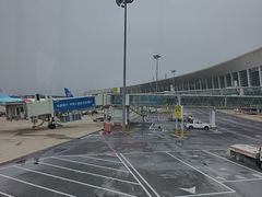 -郑州新郑国际机场-T2航站楼