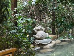 -天目湖涵田半山温泉