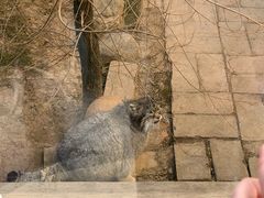 -青藏高原野生动物园