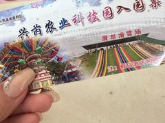 -兴芮温泉度假区