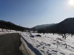-东北亚滑雪场