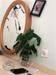 -妃格美发沙龙·烫发·染发