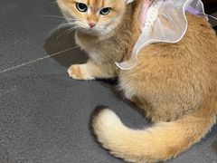 -草原塞蛮羊火锅城(港湾店)