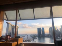 -新加坡丽思卡尔顿美年酒店