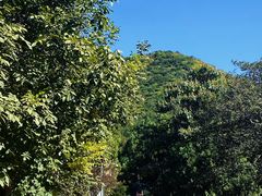 -北京十三陵国家森林公园蟒山景区