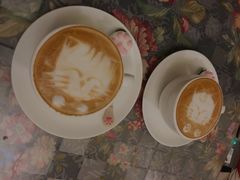 -猫色咖啡·猫咖