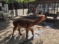 -长白岛森林公园