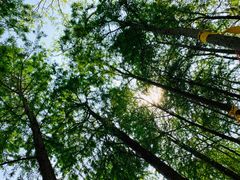 -上海海湾国家森林公园