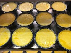 -德禄酸奶(莫家街店)