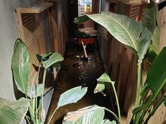 -邈墨茶馆(凤起路店)