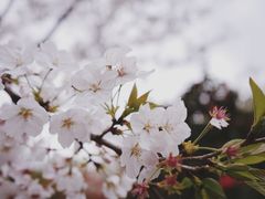 -杭州城北体育公园