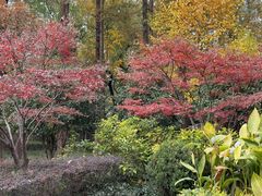 -徐家汇源景区-衡山公园