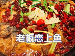 -老板恋上鱼(高新万达店)