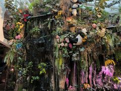 -正佳雨林生态植物园