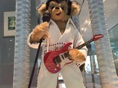 -济州岛泰迪熊博物馆