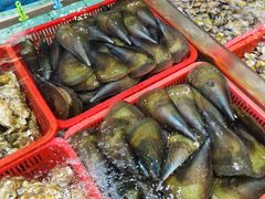 -渔民新村(番禺总店)