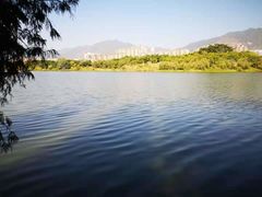 -飞来湖湿地公园