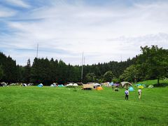 -武陵山森林公园