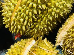 -北京华联生活超市(庄河世纪海云天店)