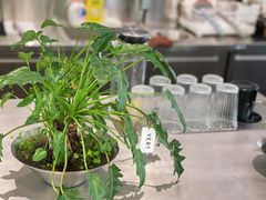 -爱樂咖啡(青年体育公园店)