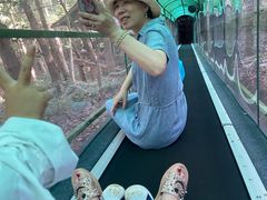 -灵栖洞天