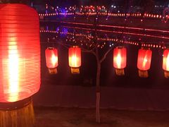 -雁滩公园