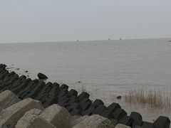 -碧海金沙