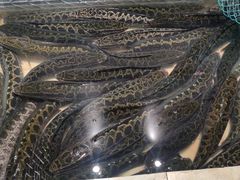 -风情丽江斑鱼火锅(孙家沟西南路80号店)